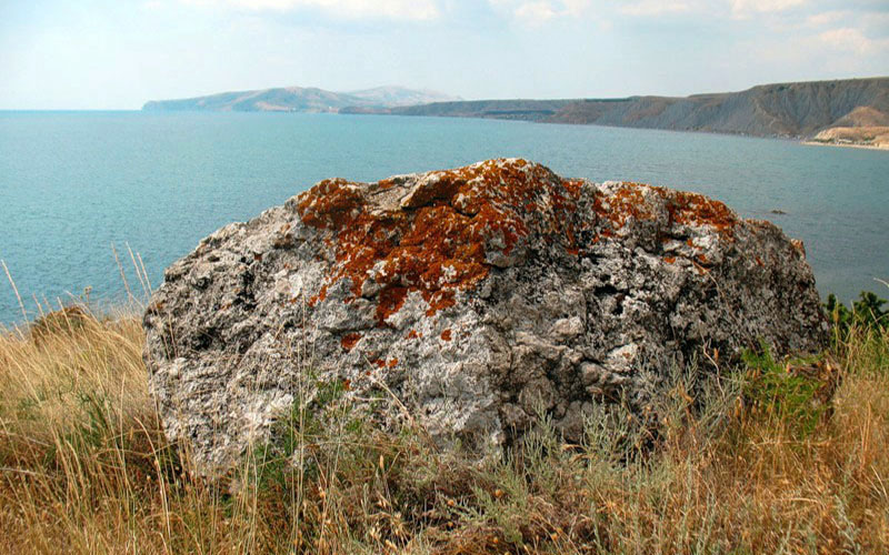 Крокус и лишайники Крыма