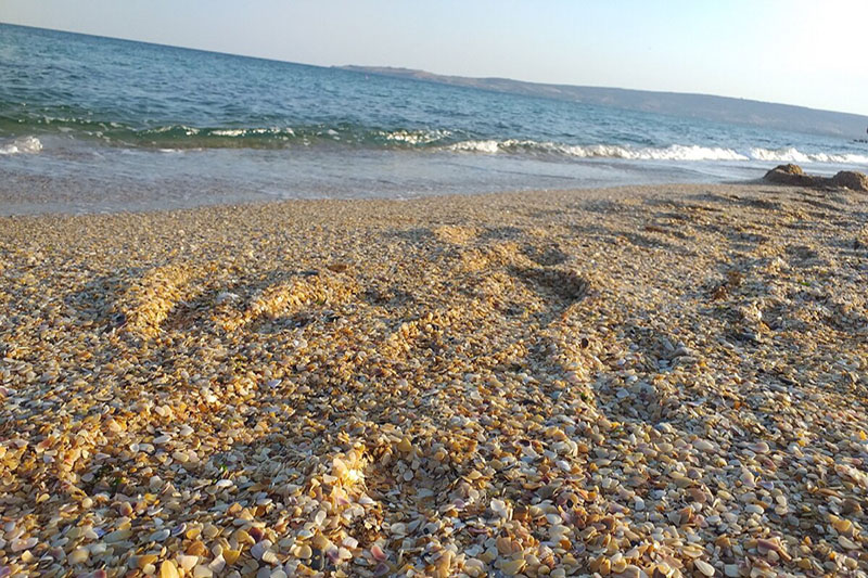 Золотой пляж в Феодосии